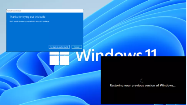 Windows 11